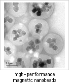 high-performance magnetic nanobeads